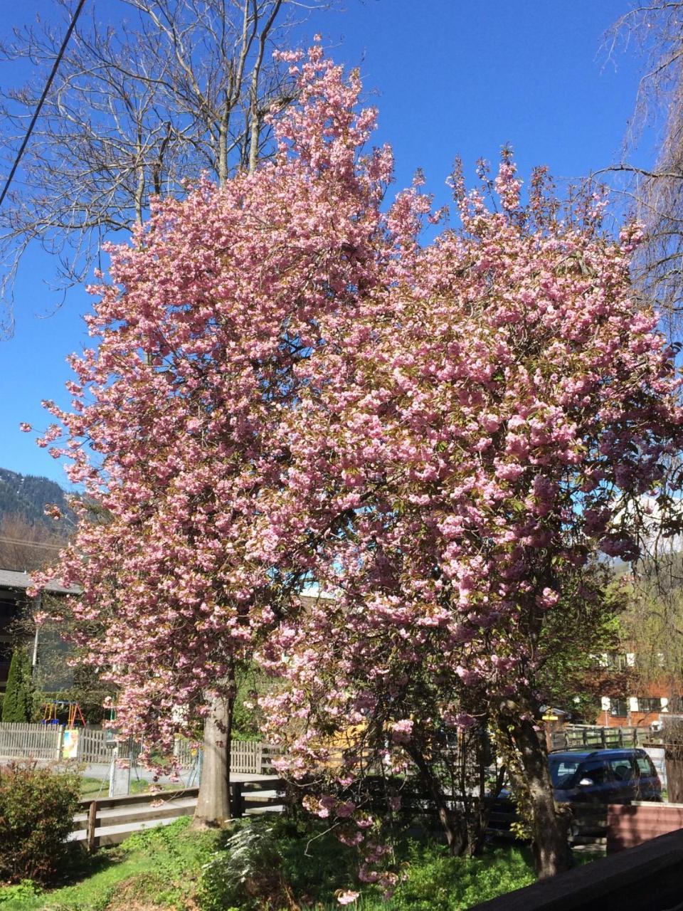 Gasthof Zum Stern 厄茨 外观 照片